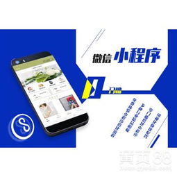 瓊中黎族苗族自治縣小程序開(kāi)發(fā)公司 專業(yè)的技術(shù)服務(wù)商